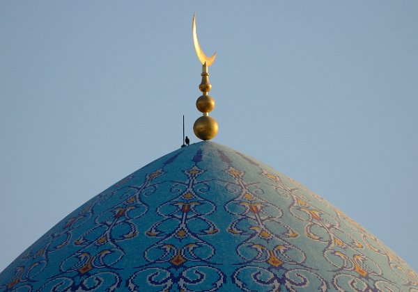 Muscat