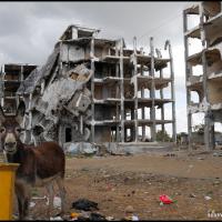 16 - Gaza strip, Palestine, 2015