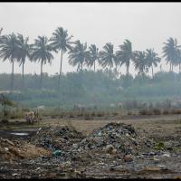 55.3 - Mbeubeuss solid landfill, Dakar, Senegal, 2009