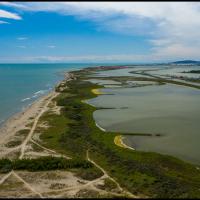 62 - Plage des Aresquiers, Hérault, France, 2020