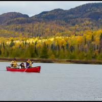 65 - Etang Bélanger, Québec, Canada, 2012