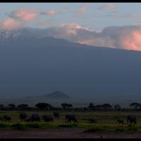 68 - Amboseli National Park, Kenya, 2019