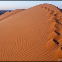 30 - Wahiba Sands, Oman, 2013