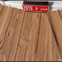 104.2 - Wahiba Sands, Oman, 2013