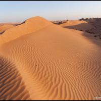 104.4 - Wahiba Sands, Oman, 2013