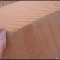 104.5 - Wahiba Sands, Oman, 2013