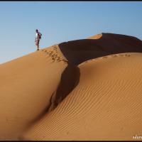 104.8 - Wahiba Sands, Oman, 2013