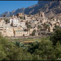106.5 - Al Dakilya, Oman, 2013