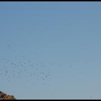 109.8 - Muscat, Oman, 2012