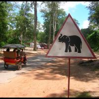 120 - Angkor, Cambodia, 2005