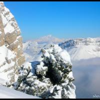 131 - Chamechaude, Isère, France, 2005