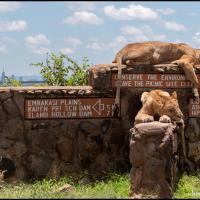 146 - Nairobie NP, Kenya, 2020