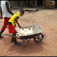 188 - Ivory Coast, 2017