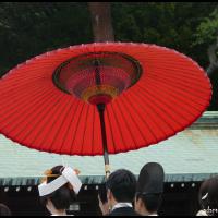 192 - Tokyo, Japon, 2014