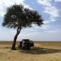 218 - Serengeti, Tanzania, 2021
