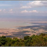 226 - Ngorongoro Crater, Tanzania, 2021