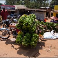 261 - Uganda, 2021