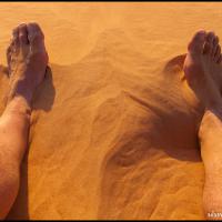273 - Wahiba Sands, Oman, 2013