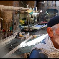 282 - Iran, 2016
