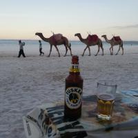 291 - Diani Beach, Kenya, 2022