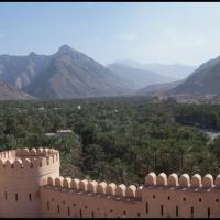 315 - Nakhil, Oman, 2013