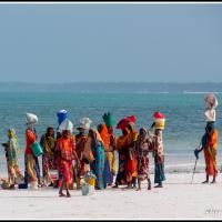 378 - Zanzibar, Tanzania, 2021