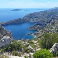 402 - Calanques, France, 2024