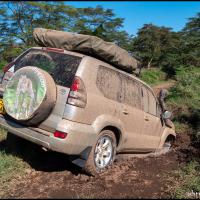 405a - Nakuru National Park, Kenya, 2020