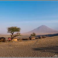 343 - Natron Lake, Tanzania, 2021