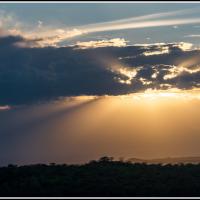 354 - Tsavo West, Kenya, 2022